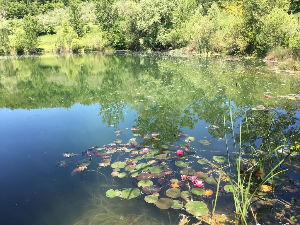 Podere Terreno Alla Via Della Volpaia Radda in Chianti Εξωτερικό φωτογραφία