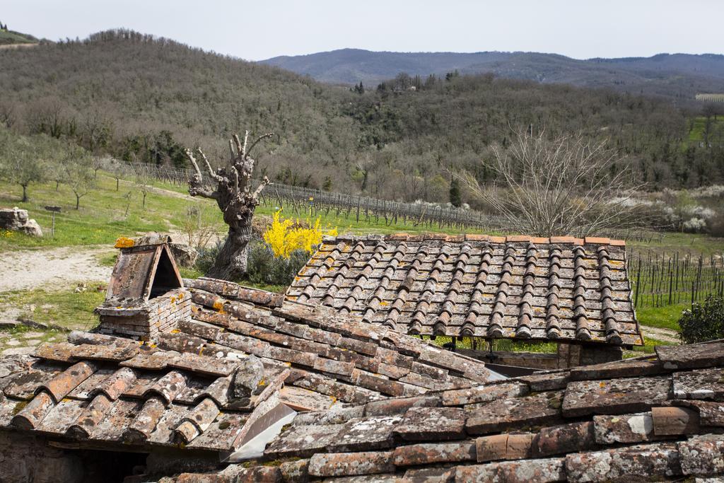 Podere Terreno Alla Via Della Volpaia Radda in Chianti Εξωτερικό φωτογραφία