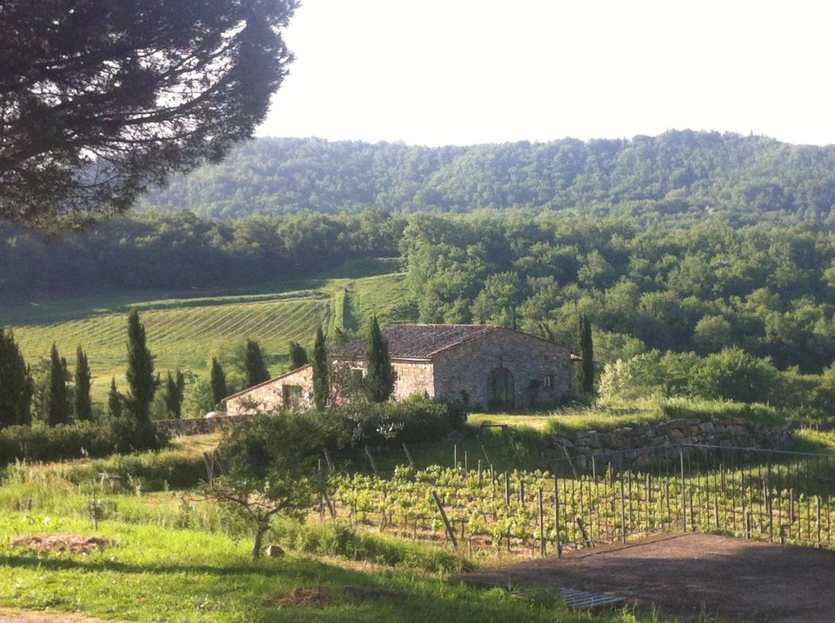 Podere Terreno Alla Via Della Volpaia Radda in Chianti Εξωτερικό φωτογραφία