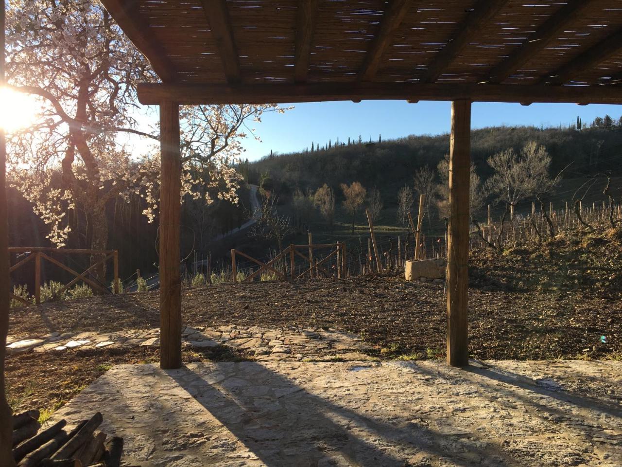 Podere Terreno Alla Via Della Volpaia Radda in Chianti Εξωτερικό φωτογραφία